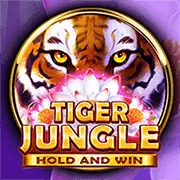 Trải nghiệm chơi slot game trên điện thoại di động tại 789bets
